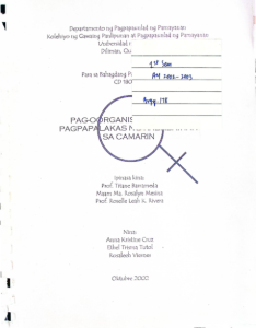 Pagoorganisa tungo sa pagpapalakas ng kababaihan sa Camarin